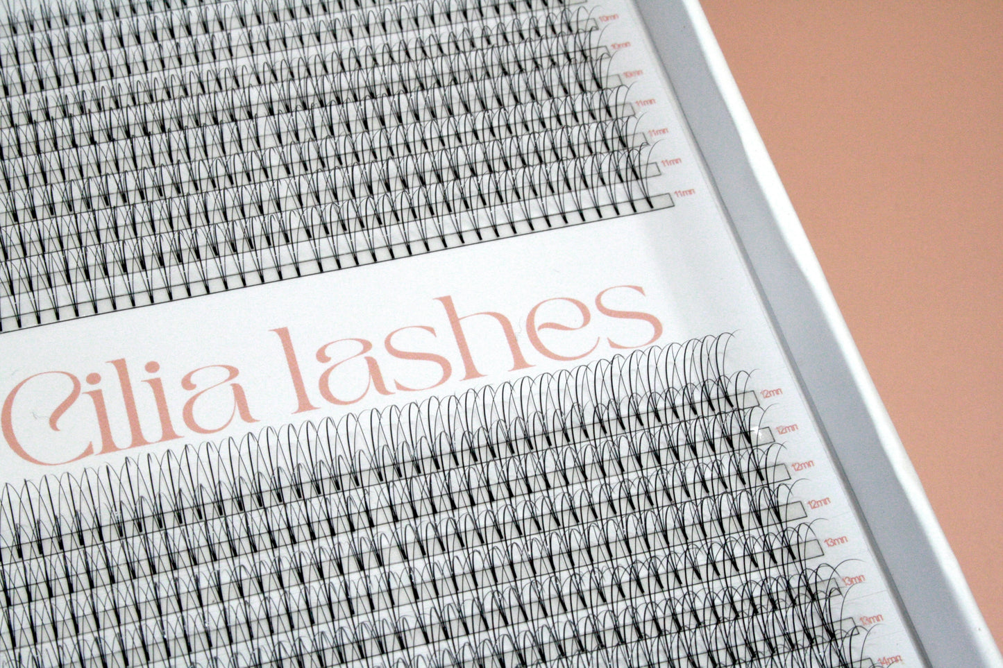 XL 3D WISPY PREMADE LASHES - D CURL - 800 SHORT STEM FANS