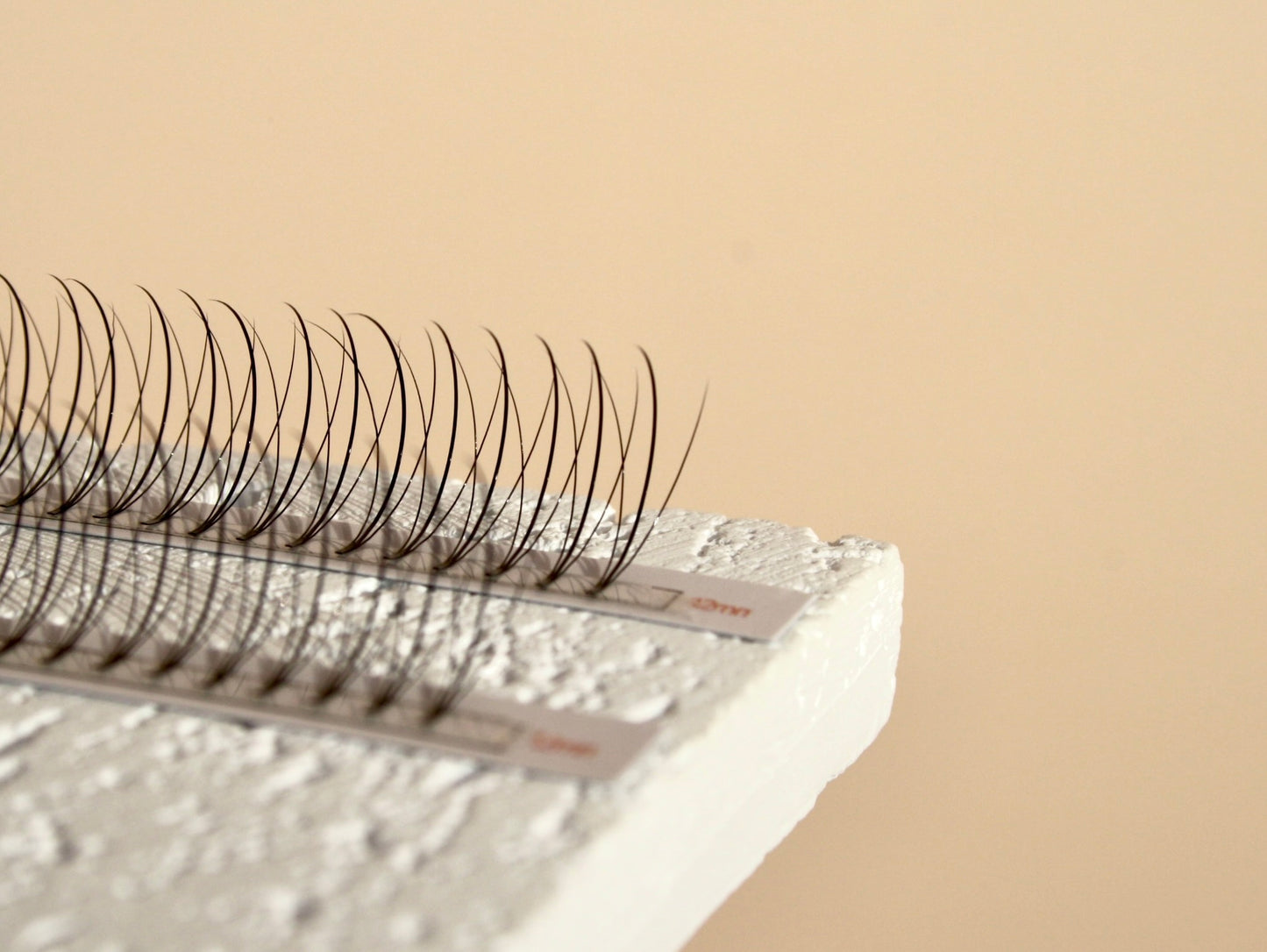 XL 3D WISPY PREMADE LASHES - D CURL - 800 SHORT STEM FANS