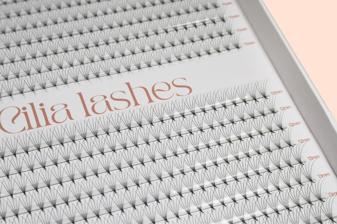 XXL 5D POINTY STEM - D CURL - 600 PROMADE FANS