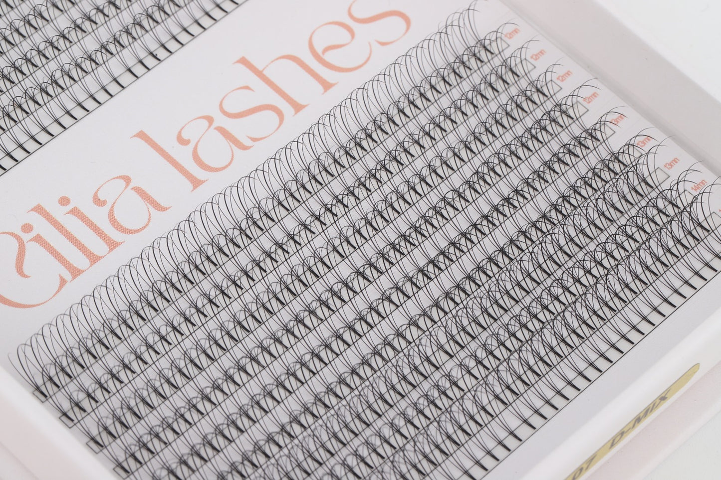 XL 3D WISPY PREMADE LASHES - D CURL - 800 SHORT STEM FANS