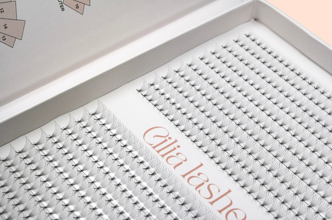 XXL 6D POINTY STEM - D CURL - 600 PROMADE FANS