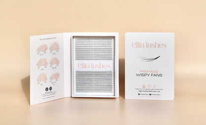 XL 3D WISPY PREMADE LASHES - D CURL - 800 SHORT STEM FANS