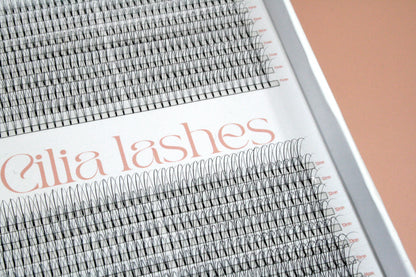 XL 3D WISPY PREMADE LASHES - D CURL - 800 SHORT STEM FANS