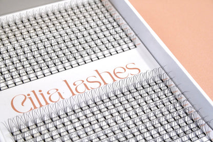 XL 5D WISPY PREMADE LASHES - D CURL - 440 SHORT STEM FANS