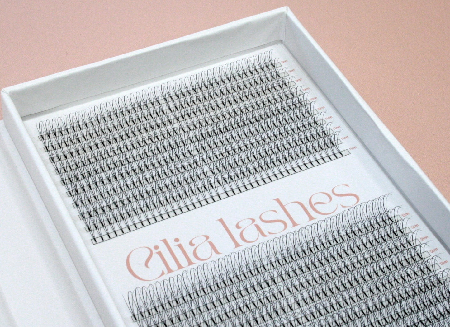 XL 3D WISPY PREMADE LASHES - D CURL - 800 SHORT STEM FANS