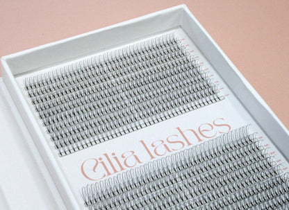 XL 3D WISPY PREMADE LASHES - D CURL - 800 SHORT STEM FANS