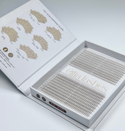 MEDIUM BROWN XL 3D SHORT STEM - D CURL - 800 PREMADE FANS