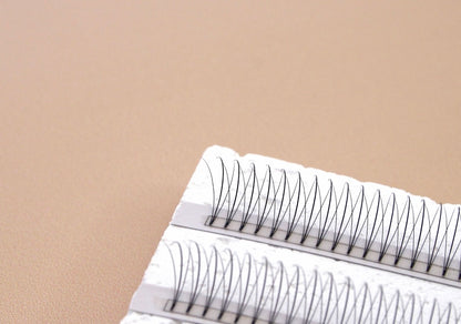 XL 3D WISPY PREMADE LASHES - D CURL - 800 SHORT STEM FANS