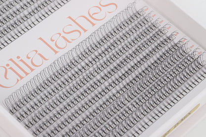 XL 3D WISPY PREMADE LASHES - D CURL - 800 SHORT STEM FANS